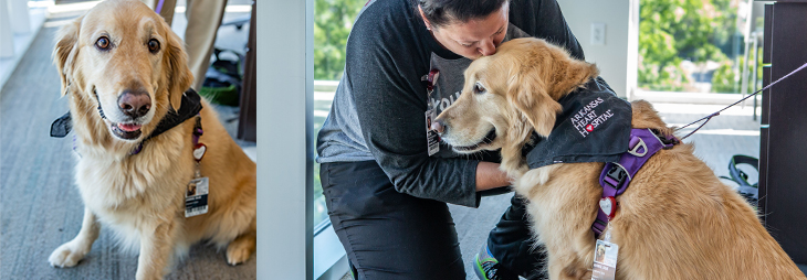 Pet Therapy | Annie Sue | Arkansas Heart Hospital